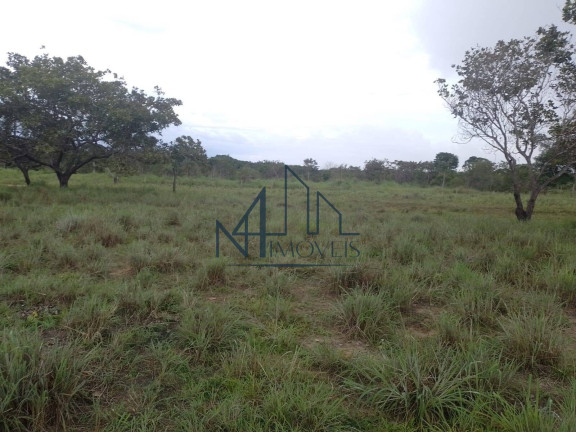 Imagem Fazenda à Venda, 29 m² em Almas - Arraias Imagem Fazenda à Venda, 29 m² em Almas - Arraias