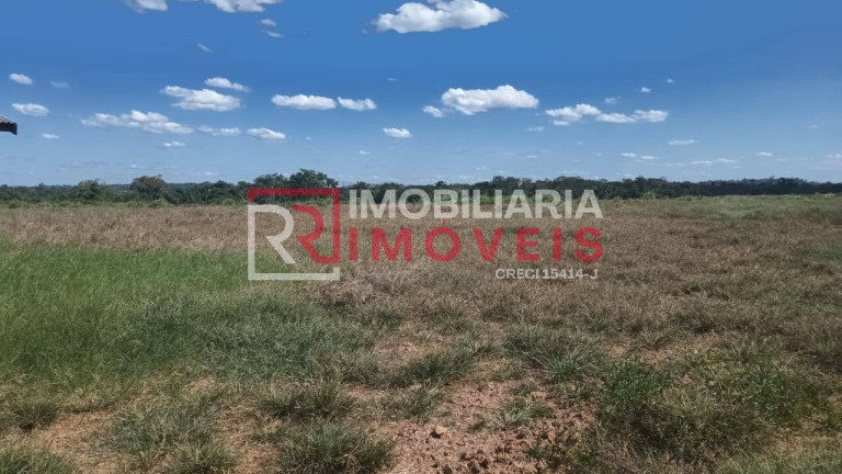 Imagem Chácara à Venda, 1.000 m² em Zona Rural - Alta Floresta Imagem Chácara à Venda, 1.000 m² em Zona Rural - Alta Floresta