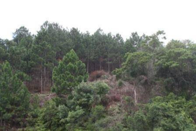 Imagem Terreno à Venda, 22 m² em Vargem Pequena - Florianópolis Imagem Terreno à Venda, 22 m² em Vargem Pequena - Florianópolis