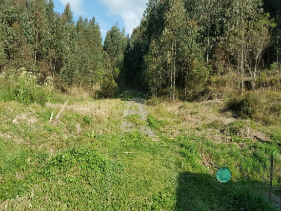 Imagem Imóvel com 2 Quartos à Venda, 50.000 m² em Zona Rural - Alfredo Wagner Imagem Imóvel com 2 Quartos à Venda, 50.000 m² em Zona Rural - Alfredo Wagner