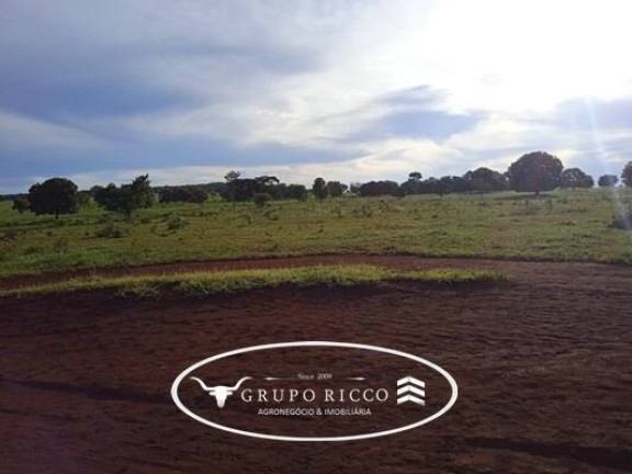 Imagem Fazenda à Venda, em Zona Rural - Montes Claros De Goiás Imagem Fazenda à Venda, em Zona Rural - Montes Claros De Goiás