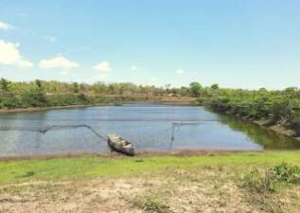 Imagem Fazenda à Venda, 1.357 m² em Jangada Imagem Fazenda à Venda, 1.357 m² em Jangada