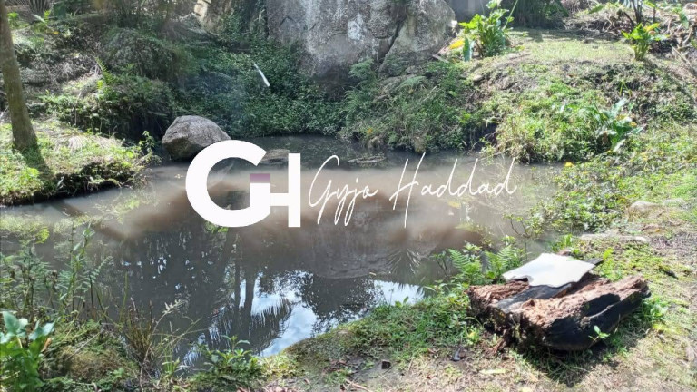 Imagem Chácara com 5 Quartos à Venda, 7.000 m² em Vila Elvio - Piedade