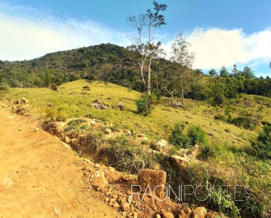 Imagem Fazenda à Venda, 70.000 m² em Sodrelândia - Trajano De Morais Imagem Fazenda à Venda, 70.000 m² em Sodrelândia - Trajano De Morais