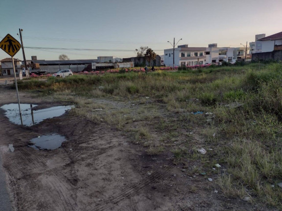 Imagem Terreno à Venda, 2.021 m² em Xv De Novembro - Tijucas Imagem Terreno à Venda, 2.021 m² em Xv De Novembro - Tijucas