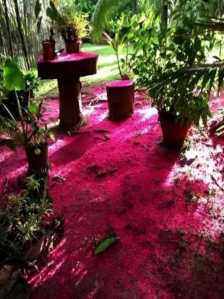 Imagem Fazenda à Venda, 204 m² em Barra Do Pojuca - Camaçari Imagem Fazenda à Venda, 204 m² em Barra Do Pojuca - Camaçari