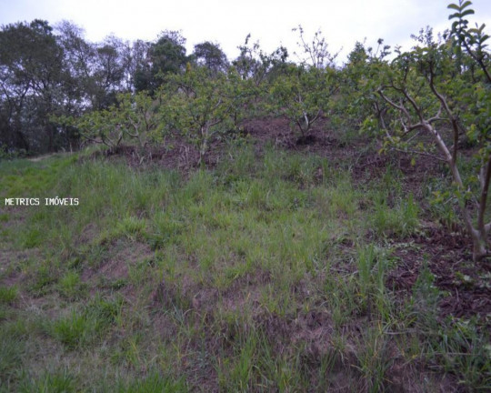 Imagem Imóvel à Venda, 5.000 m² em São José Da Pedra Santa - Jundiaí Imagem Imóvel à Venda, 5.000 m² em São José Da Pedra Santa - Jundiaí