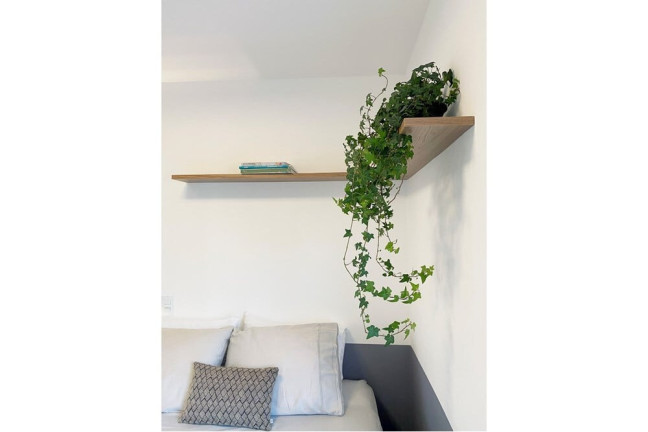 Imagem Apartamento com 1 Quarto à Venda, 35 m² em Saúde - São Paulo Imagem Apartamento com 1 Quarto à Venda, 35 m² em Saúde - São Paulo