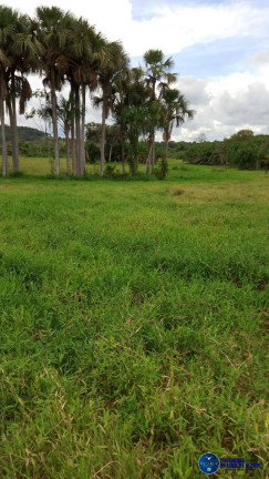 Imagem Chácara à Venda, 5 m² em Zona Rural - Mairipotaba Imagem Chácara à Venda, 5 m² em Zona Rural - Mairipotaba