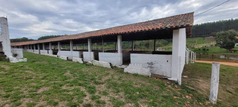 Imagem Imóvel com 6 Quartos à Venda, 16.600 m² em Jardim Paraíso Ii - Itu Imagem Imóvel com 6 Quartos à Venda, 16.600 m² em Jardim Paraíso Ii - Itu
