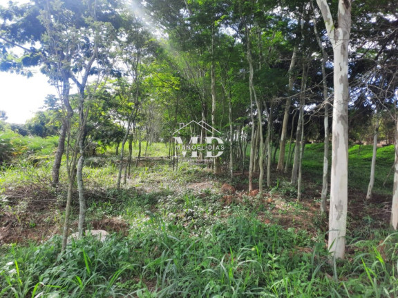 Imagem Imóvel à Venda, 25.068 m² em Atras Da Indústria Kels - Artur Nogueira Imagem Imóvel à Venda, 25.068 m² em Atras Da Indústria Kels - Artur Nogueira