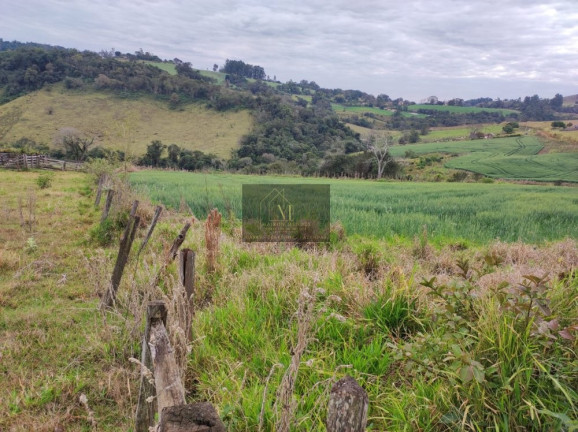 Imagem Terreno à Venda, 2.600 m² em Tomazina - Tomazina