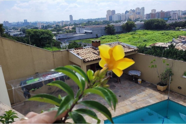 Imagem Casa com 5 Quartos à Venda, 506 m² em Butantã - São Paulo Imagem Casa com 5 Quartos à Venda, 506 m² em Butantã - São Paulo
