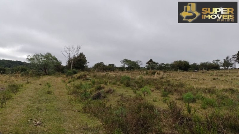 Imagem Imóvel com 4 Quartos à Venda, 2.600.000 m² em Centro - Canguçu
