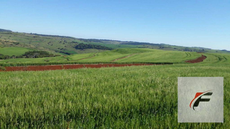 Imagem Fazenda à Venda, 2.988.700 m² em Rural - Faxinal Imagem Fazenda à Venda, 2.988.700 m² em Rural - Faxinal
