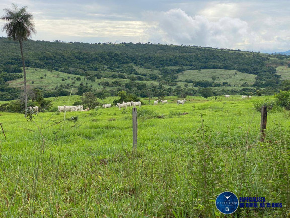 Imagem Fazenda à Venda, 214 m² em Zona Rural - Israelândia Imagem Fazenda à Venda, 214 m² em Zona Rural - Israelândia