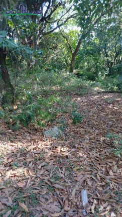 Imagem Chácara à Venda, em Viamão Imagem Chácara à Venda, em Viamão
