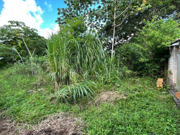 Imagem Terreno à Venda, 245 m² em Malícia (abrantes) - Camaçari