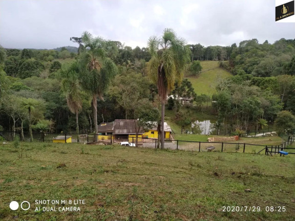 Imagem Imóvel com 3 Quartos à Venda, 16.200 m² em Zona Rural - Quatro Barras Imagem Imóvel com 3 Quartos à Venda, 16.200 m² em Zona Rural - Quatro Barras