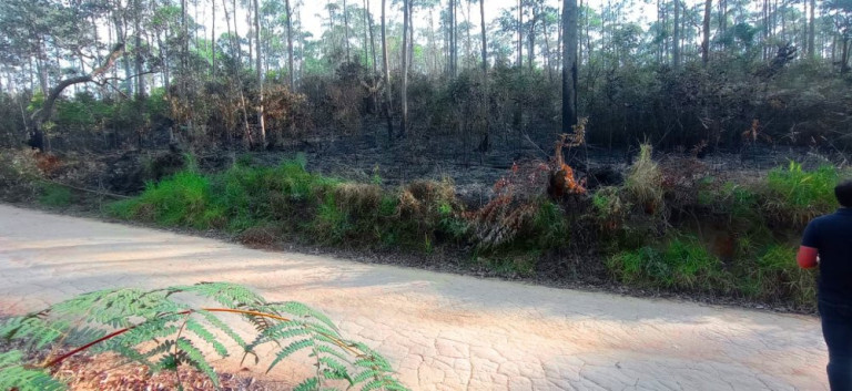 Imagem Imóvel à Venda, 266.200 m² em Pedra Vermelha (terra Preta) - Mairiporã Imagem Imóvel à Venda, 266.200 m² em Pedra Vermelha (terra Preta) - Mairiporã