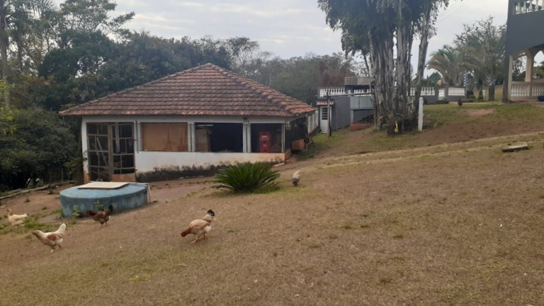 Imagem Imóvel com 3 Quartos à Venda, 500 m² em Vila Americana - Tatuí Imagem Imóvel com 3 Quartos à Venda, 500 m² em Vila Americana - Tatuí