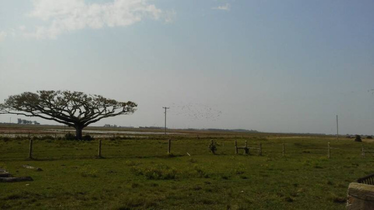 Imagem Chácara à Venda, 194 m² em águas Claras - Viamão