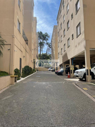 Imagem Apartamento com 3 Quartos à Venda, 65 m² em Paraisópolis - São Paulo Imagem Apartamento com 3 Quartos à Venda, 65 m² em Paraisópolis - São Paulo