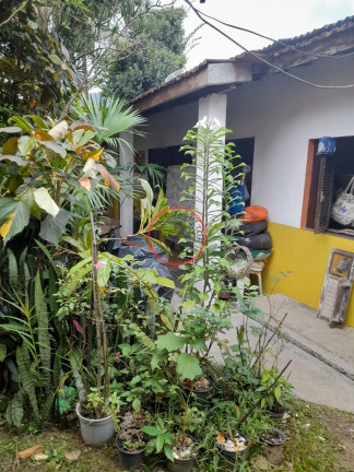 Imagem Casa com 5 Quartos à Venda, 241 m² em Boiçucanga - São Sebastião Imagem Casa com 5 Quartos à Venda, 241 m² em Boiçucanga - São Sebastião