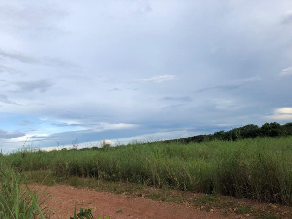 Imagem Fazenda à Venda,  em Rural - Figueirópolis