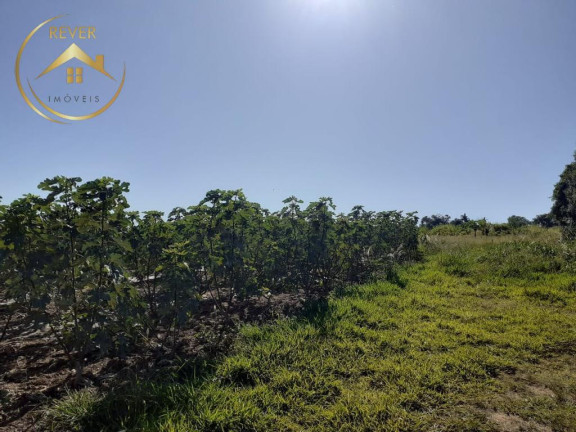 Imagem Imóvel com 9 Quartos à Venda, 69.700 m² em Reforma Agrária - Valinhos Imagem Imóvel com 9 Quartos à Venda, 69.700 m² em Reforma Agrária - Valinhos