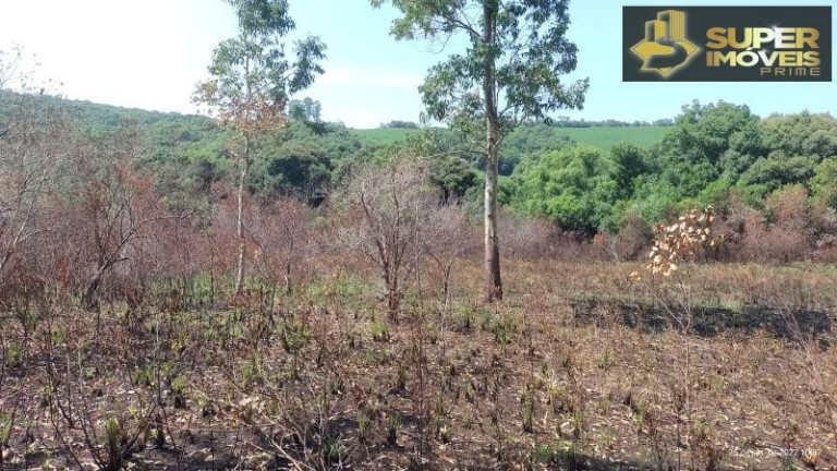 Imagem Imóvel com 4 Quartos à Venda, 2.600.000 m² em Centro - Canguçu