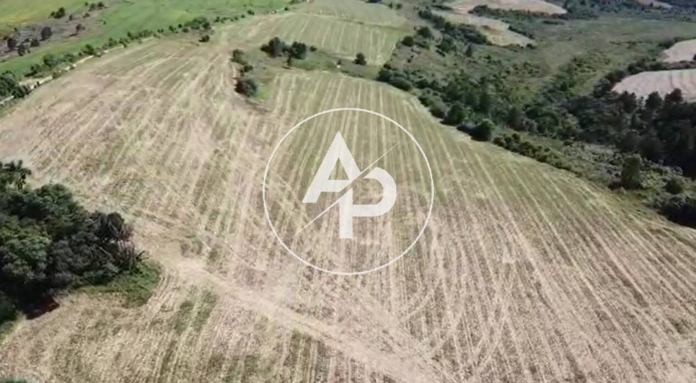 Imagem Fazenda à Venda, 19 m² em Palmeira