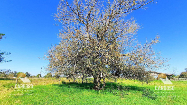 Imagem Fazenda à Venda, 20.000 m² em águas Claras - Viamão Imagem Fazenda à Venda, 20.000 m² em águas Claras - Viamão