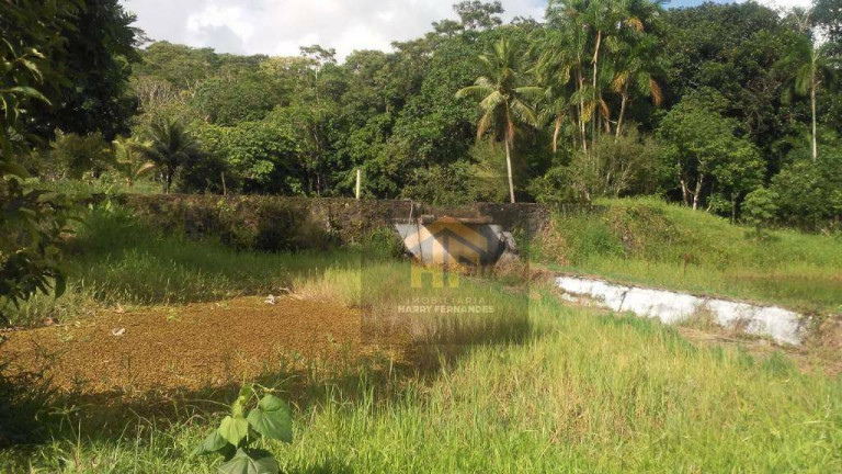 Imagem Chácara com 6 Quartos à Venda, 65.000 m² em Aldeia - Camaragibe Imagem Chácara com 6 Quartos à Venda, 65.000 m² em Aldeia - Camaragibe