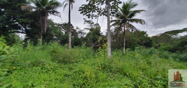 Imagem Fazenda à Venda, 340 m² em Aldeia Dos Camarás - Camaragibe Imagem Fazenda à Venda, 340 m² em Aldeia Dos Camarás - Camaragibe