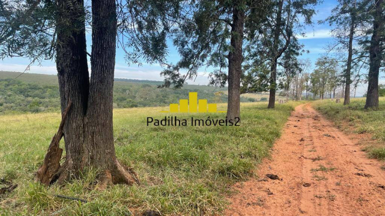 Imagem Fazenda à Venda, 220 m² em Centro - Bauru Imagem Fazenda à Venda, 220 m² em Centro - Bauru