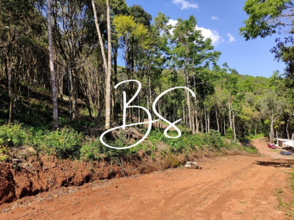 Imagem Terreno à Venda, 2.141 m² em Estrada Linha ávila - Gramado Imagem Terreno à Venda, 2.141 m² em Estrada Linha ávila - Gramado