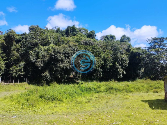 Imagem Terreno à Venda, 9.489 m² em Capibaribe - São Lourenço Da Mata