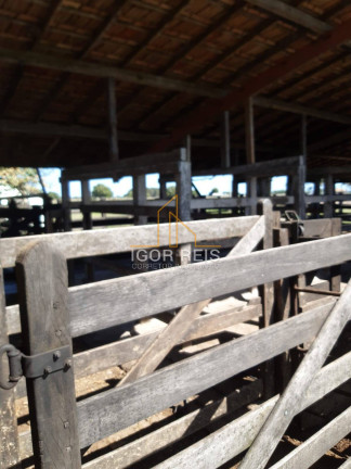 Imagem Fazenda à Venda, 277 m² em Quissamã Imagem Fazenda à Venda, 277 m² em Quissamã