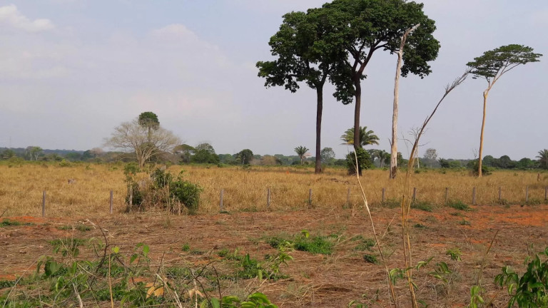 Imagem Fazenda à Venda, 242 m² em Zona Rural - Itaúba Imagem Fazenda à Venda, 242 m² em Zona Rural - Itaúba