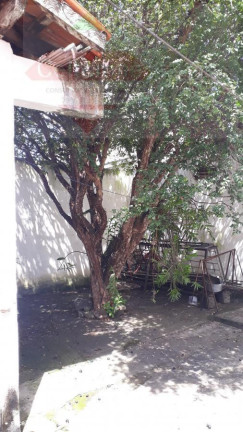 Imagem Casa com 5 Quartos à Venda, 300 m² em Centro - Taubaté Imagem Casa com 5 Quartos à Venda, 300 m² em Centro - Taubaté