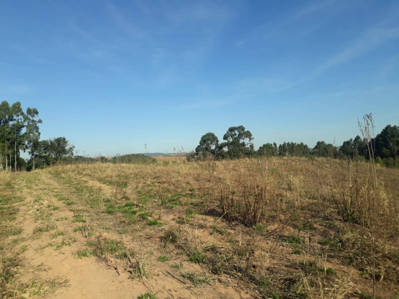 Imagem Terreno à Venda, 28.000 m² em Ortizes - Piedade Imagem Terreno à Venda, 28.000 m² em Ortizes - Piedade