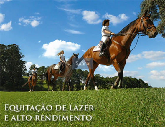 Imagem Terreno à Venda, 800 m² em Fazenda Serra Azul - Jundiaí Imagem Terreno à Venda, 800 m² em Fazenda Serra Azul - Jundiaí