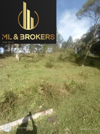 Imóvel à Venda, 96.000 m² em Postinho - Tijucas Do Sul