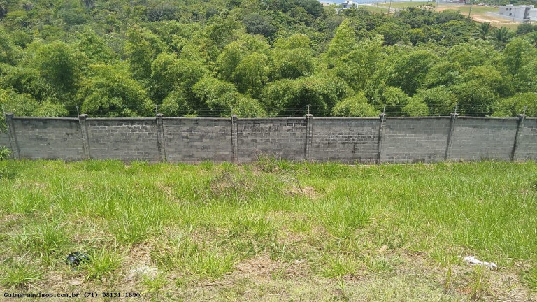 Imagem Terreno à Venda, 392 m² em Alphaville Litoral Norte 2 - Camaçari Imagem Terreno à Venda, 392 m² em Alphaville Litoral Norte 2 - Camaçari
