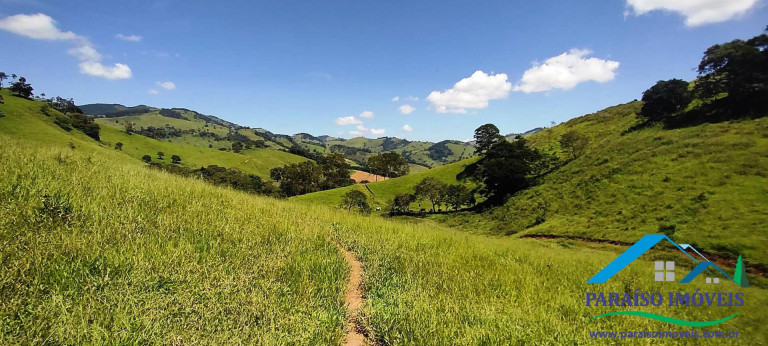 Imagem Chácara à Venda, 24 m² em Centro - Paraisópolis
