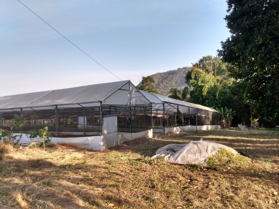 Imagem Imóvel com 1 Quarto à Venda, 21.300 m² em São Marcos - Bofete Imagem Imóvel com 1 Quarto à Venda, 21.300 m² em São Marcos - Bofete