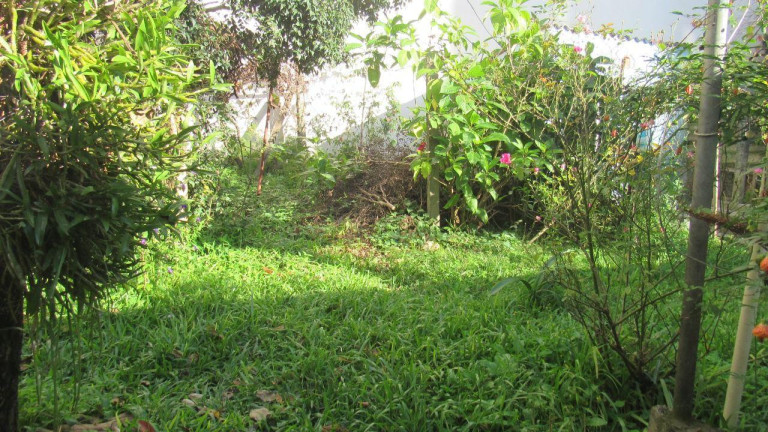 Imagem Terreno à Venda, 560 m² em Centro - Concórdia Imagem Terreno à Venda, 560 m² em Centro - Concórdia