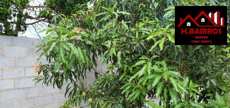 Imagem Chácara com 3 Quartos à Venda, 1.165 m² em Redenção Da Serra Imagem Chácara com 3 Quartos à Venda, 1.165 m² em Redenção Da Serra