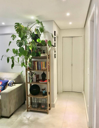Imagem Apartamento com 3 Quartos à Venda, 65 m² em Jardim Esmeralda - São Paulo